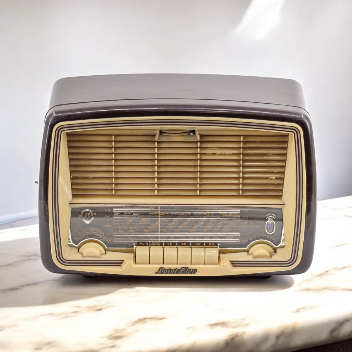 Radio Bluetooth Point bleu Vintage 50’S - enceinte - connectée - design - haut - de - gamme - vintage - prodige - radio